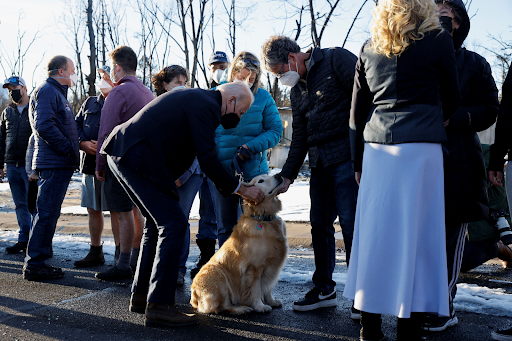 Colorado Citizens and the Humane Society of Boulder Valley Unite to Remember Animals Lost in the Marshall Fire
