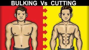 Qual a diferença de Bulking x Cutting - Magnus Clínica de Personal