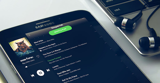 [](https://bandzoogle.com/blog/how-to-get-your-music-featured-on-spotify-playlists)
