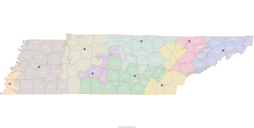 Rampant Gerrymandering Impacting 2022 Redistricting – The Profile