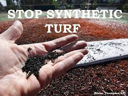 An insight to what synthetic turf may look like. 