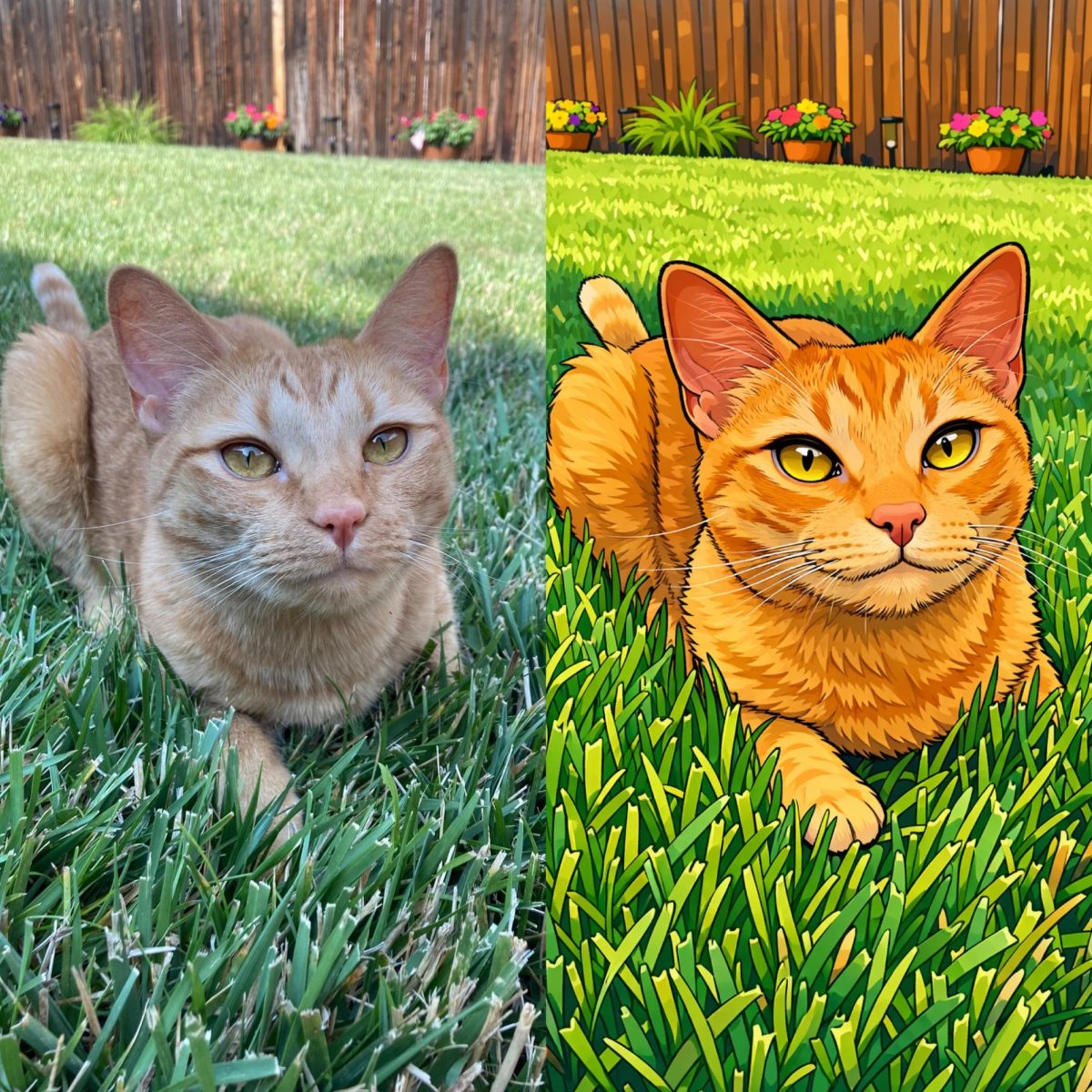 The left side is a photo of Horizon senior, Karley Schafer's cat outside on Aug. 6. The right side is the cartoon version of the photo generated by ChatGPT.