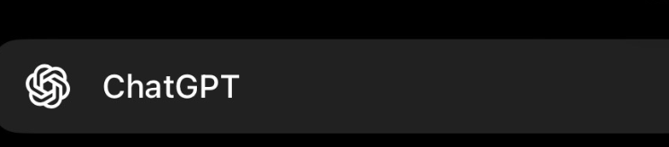A screenshot of ChatGPT. 