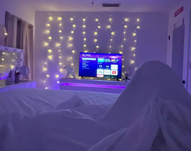 A picture taken from a bed looking into a Pinterest worthy room with the TV front and center, positioned on the Roku home page. 